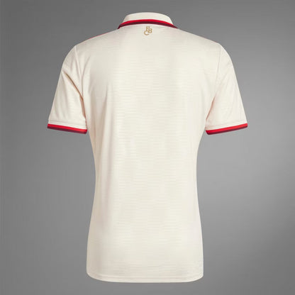 FC Bayern 24/25 Third Kit  - Player Version